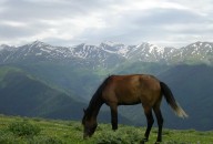 Исключительно высокие лечебные свойства Цхалтубо