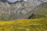 Показания для применения мити-грованиого метода пеллоидотерапии