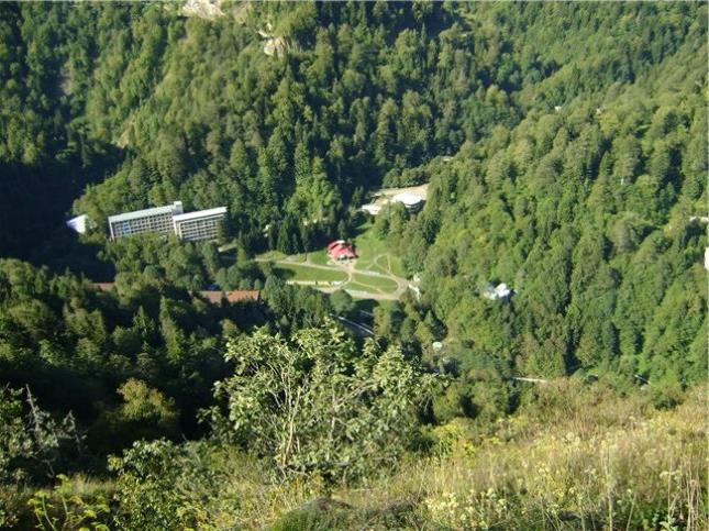 Бактериостатические свойства цхалтубской минеральной воды